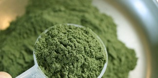 Kratom Powder
