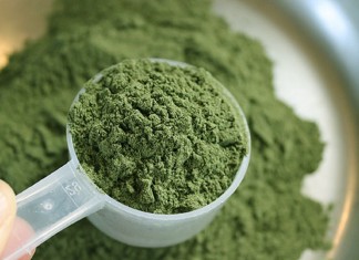 Kratom Powder