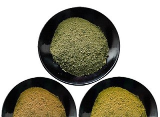 Kratom Strains Types