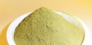 green vein kratom strain