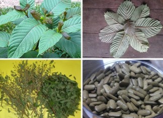 Kratom-Effects