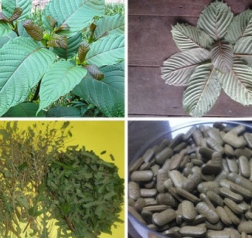 Kratom-Effects