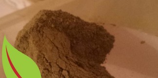 Red Bali Kratom