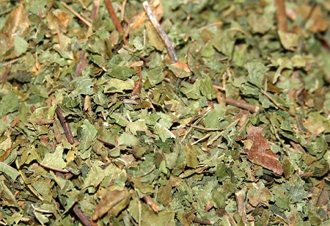 Kratom leaves