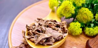 rhodiola-rosea