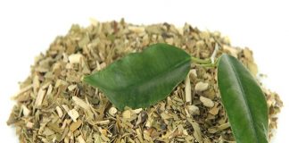 Yerba Mate Tea