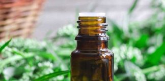 kratom extract tinctures