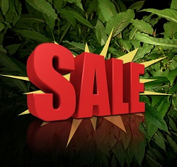 Kratom for sale