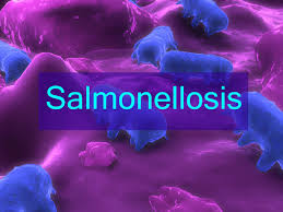 Salmonellosis