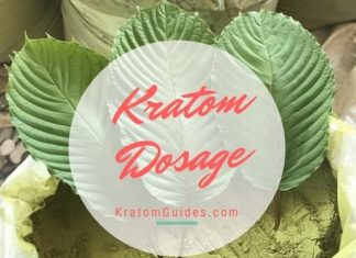 kratom dosage powder capsules