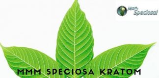 Mmm Speciosa