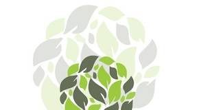 PA BOTANICALS