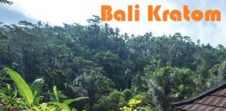 best bali kratom vendors