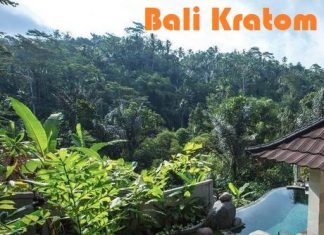 best bali kratom vendors