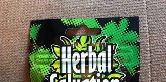 herbal salvation kratom review