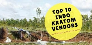 indo kratom vendors