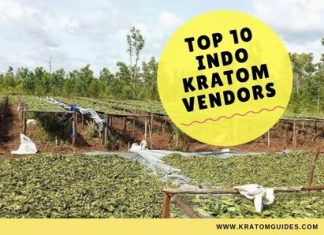 indo kratom vendors