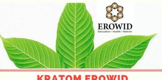 Kratom Erowid