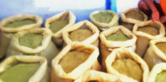 Kratom Wholesale Buying