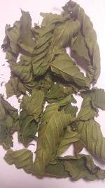 American Grown Kratom Leaves