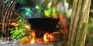 Ayahuasca And Kratom