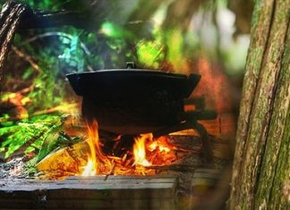 Ayahuasca And Kratom