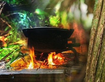 Ayahuasca And Kratom