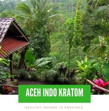 aceh kratom