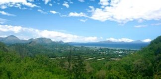 Sunda Islands Kratom