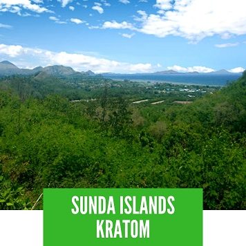 Sunda Islands Kratom