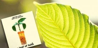 A Leaf Of Faith