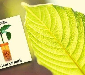 A Leaf Of Faith