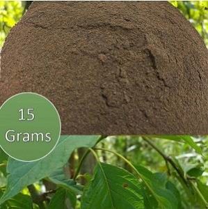 Kratom Extracts at Authentic Kratom