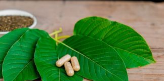 Speciosa Super Kratom Mitragyna Variety, Strain, Kratum, Kratoma, krtom, specosa