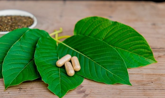 Speciosa Super Kratom Mitragyna Variety, Strain, Kratum, Kratoma, krtom, specosa