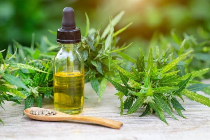 CBD Oil
