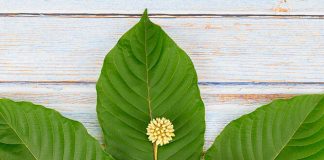 High Alkaloid Kratom
