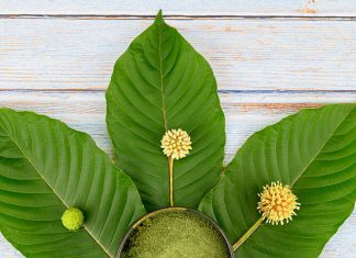 High Alkaloid Kratom