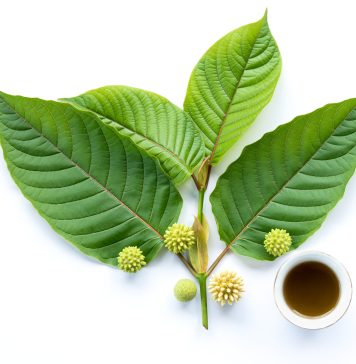 Kratom Wikipedia