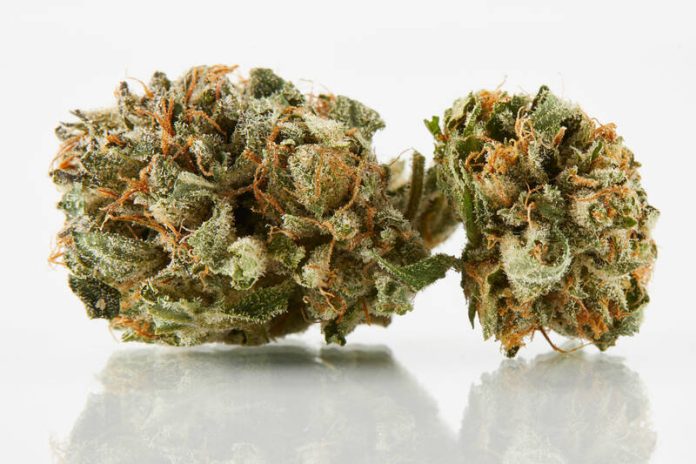Kush Strains