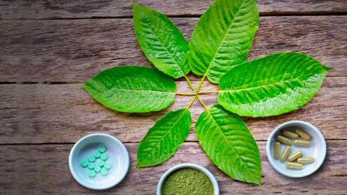 Herbal Alcohol Alternatives