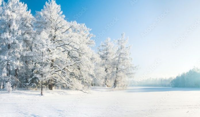 How can Kratom Help in Winters