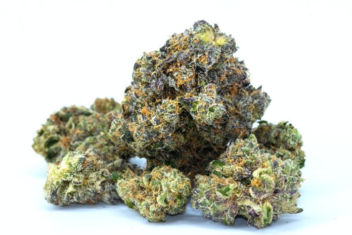 Temperature To Improve Cannabis Quality