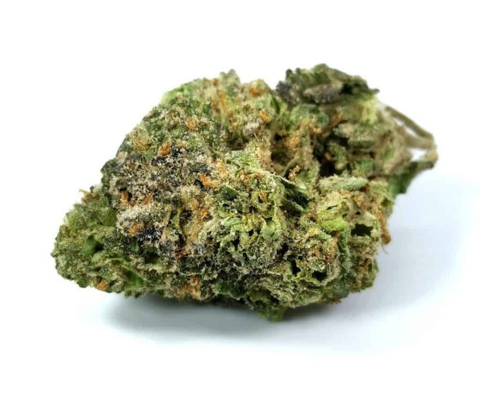 Ice Cream Cake Strain