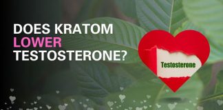 Does Kratom Lower Testerone