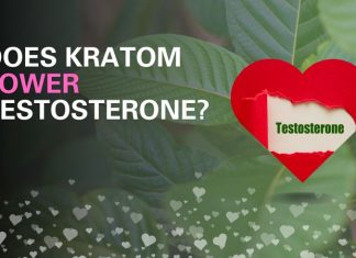 Does Kratom Lower Testerone