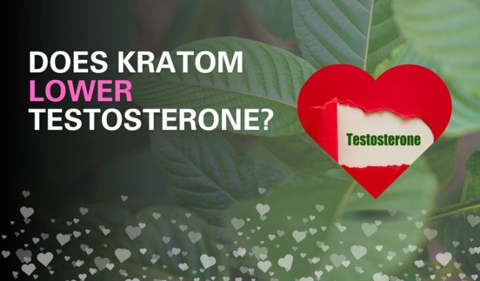 Does Kratom Lower Testerone
