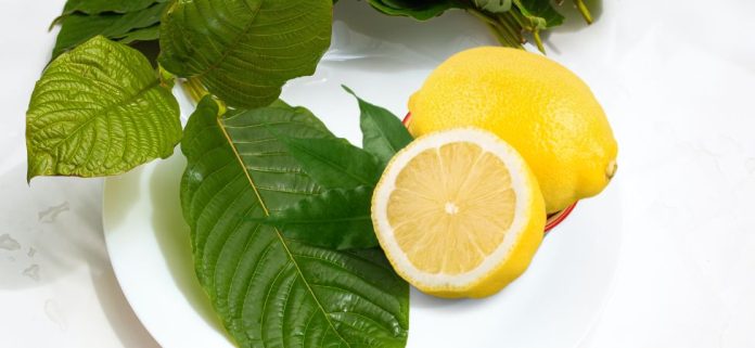 How To Potentiate Kratom with Citrus