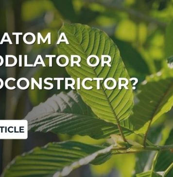 Is Kratom A Vasodilator or Vasoconstrictor