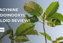 Mitragynine Pseudoindoxyl Alkaloid Review!